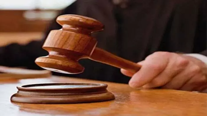 Madhya Pradesh News: साइटिस प्राणी प्रजातियों के अवैध व्यापार में फरार आरोपी की अग्रिम जमानत खारिज