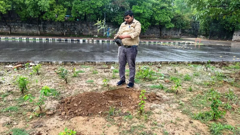 Raipur News: नई दिल्ली में ‘एक पेड़ माँ के नाम’ अभियान के तहत छत्तीसगढ़ जनसंपर्क विभाग का वृक्षारोपण