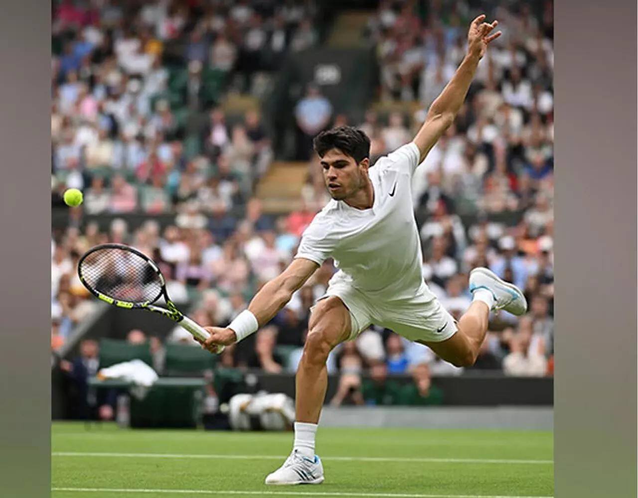 Wimbledon 2024: क्वार्टर फाइनल में टॉमी पॉल को कार्लोस अल्काराज ने हराया, सेमीफाइनल में अब इस खिलाड़ी से भिड़ेंगे…