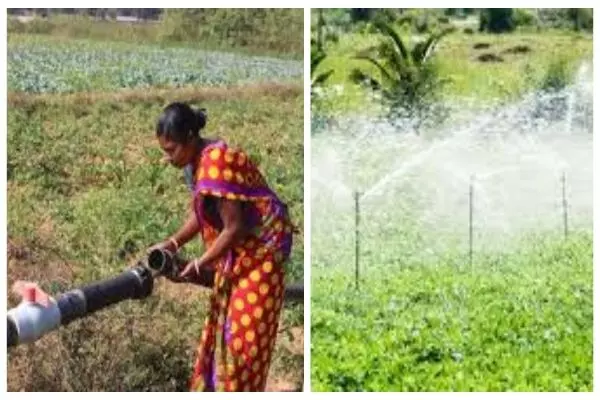 PM Krishi Sichai Yojana 2024: अब बंजर जमीन भी उगलेगी सोना, किसानों को सब्सिडी पर सिंचाई उपकरण देने के साथ ही खेतों में पहुंचाया जाएगा पानी, जानें योजना में और क्या है खास?