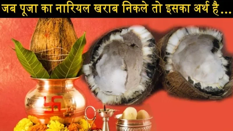 Bad Coconut in Pooja : जब पूजा में चढ़ा नारियल खराब या सूखा निकल जाता है…