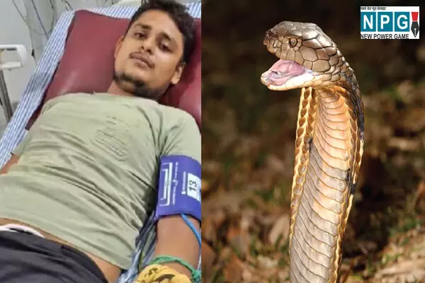 Fatehpur Snake Bite Case: युवक की जान का दुश्मन बना सांप! 40 दिनों में 7वीं बार डसा, नौवीं बार में होगी मौत… CMO ने दिया ये आदेश