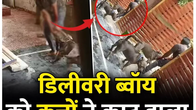 CG-डिलीवरी बाॅय को कुत्तों ने काट डाला, पार्सल छोड़ने जैसे ही घुसा, तीन पिटबुल ने किया जानलेवा हमला, कार में चढ़कर बचानी पड़ी जान