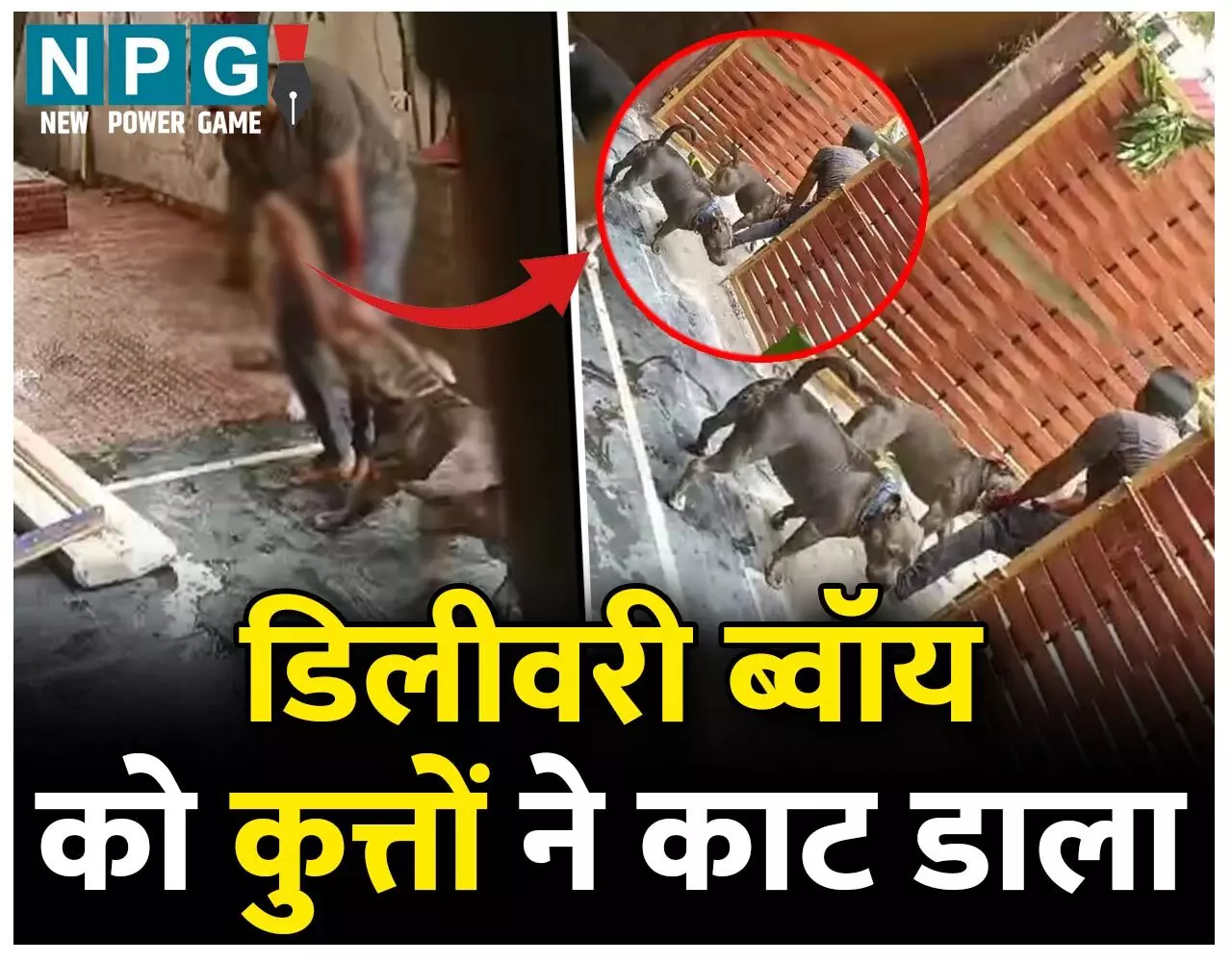 CG: कुत्तों के मालिक के खिलाफ FIR दर्ज, पीड़ित बोला-कार में नहीं चढ़ता तो आज जिंदा नहीं होता…