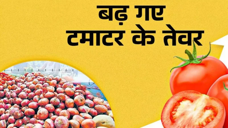 Tomato Price Hike: दिल्ली में आसमान छू रहे टमाटर के रेट, क्या है दाम बढ़ने की वजह?