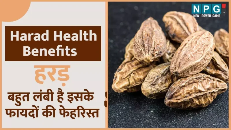 Harad Health Benefits: वायरल से  बचाएगी हरड़ और दिल की सेहत भी रखेगी दुरुस्त, बहुत लंबी है इसके फायदों की फेहरिस्त…