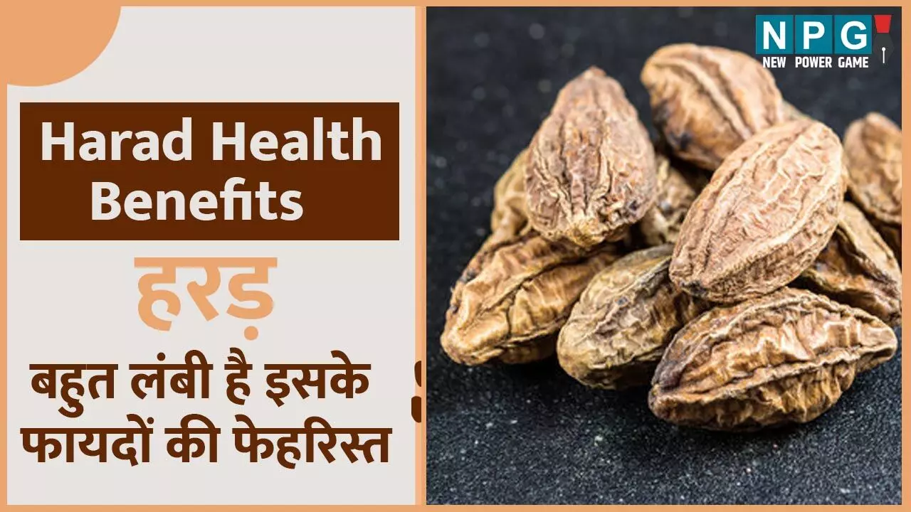 Harad Health Benefits: वायरल से बचाएगी हरड़ और दिल की सेहत भी रखेगी दुरुस्त, बहुत लंबी है इसके फायदों की फेहरिस्त…