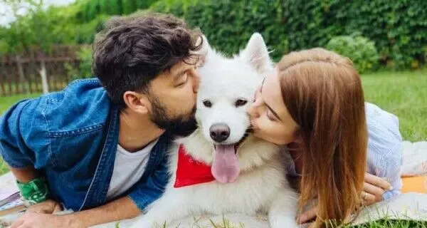 Love Tips : इन पेट्स को ले आयें अपने बीच…प्यार चढ़ेगा परवान