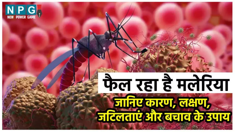 Malaria Causes, Symptoms And Prevention: फैल रहा है मलेरिया, यहां जानिए मलेरिया होने का कारण, लक्षण, जटिलताएं और बचाव के उपाय…
