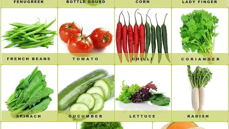 Witch Vegetables is Best in Rainy Season : बरसात में कौन सी सब्जियां अधिक फायदेमंद हैं. आइए जाने