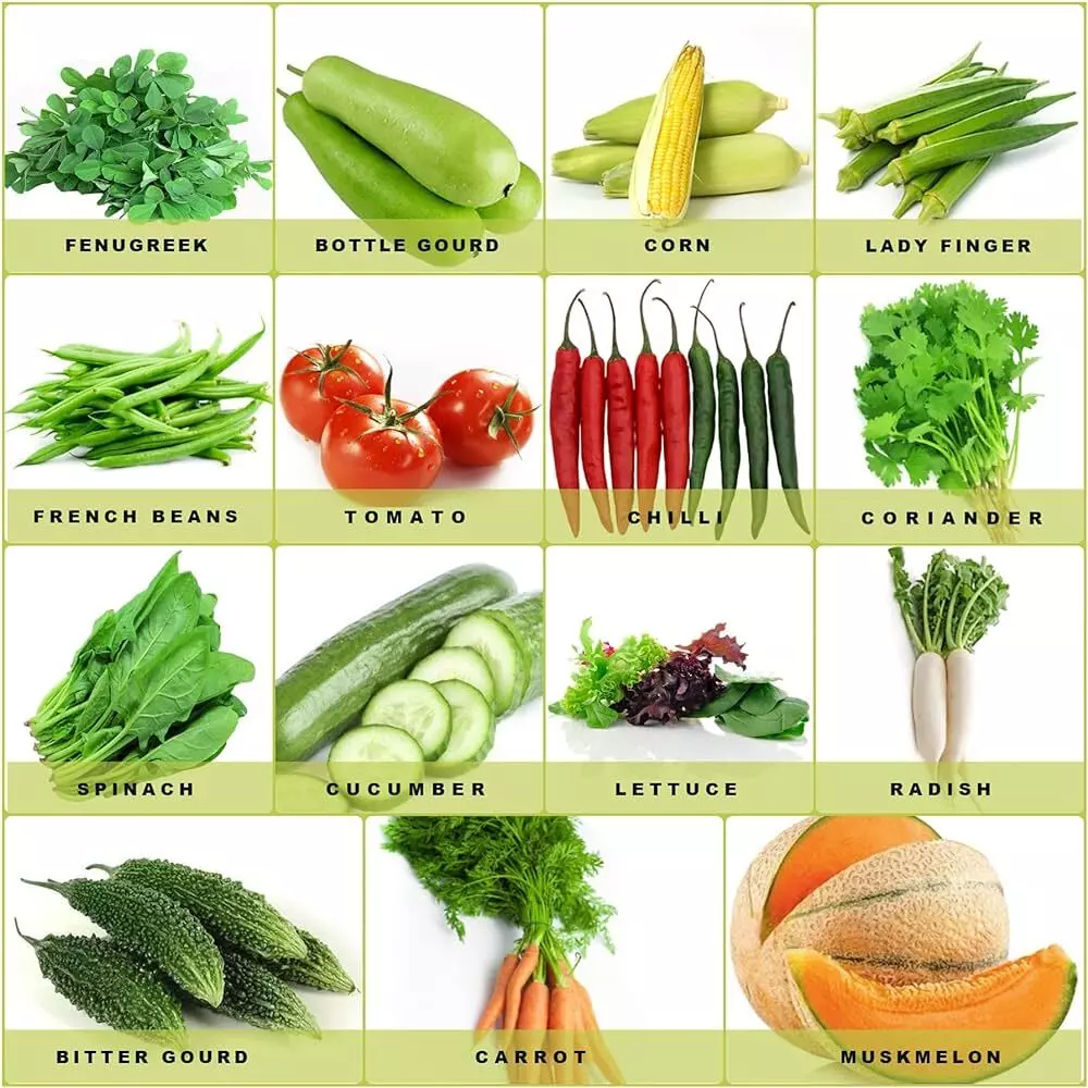 Witch Vegetables is Best in Rainy Season : बरसात में कौन सी सब्जियां अधिक फायदेमंद हैं. आइए जाने