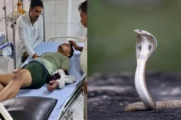 Fatehpur Snake Bite Case: जिस युवक को सांप ने 7 बार काटा… CMO ने खोल दी उसकी पोल, सामने आई ये कहानी