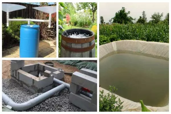 Rain Water Harvesting: बारिश में करें रेन वॉटर हार्वेस्टिंग, जानें इसे करने के तरीके, अगर कर लिया तो कभी नहीं होगी पानी की कमी