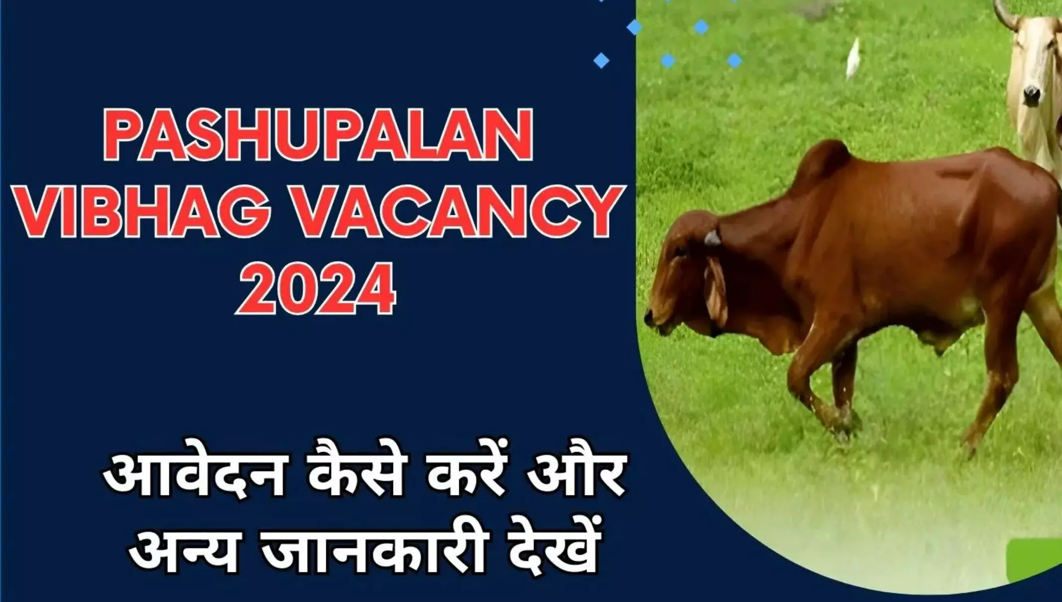 Pashupalan Vibhag Bharti 2024: पशुपालन विभाग भर्ती 2024, सरकारी नौकरी की तलाश कर रहे युवाओं के लिए सुनहरा अवसर