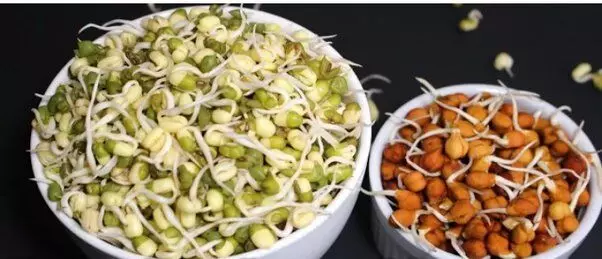 Eat Sprouts in Mansoon : बारिश में स्प्राउट्स खाया जाना सही या नहीं ? , यहाँ जानें
