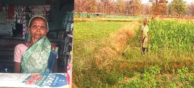 Dantewada News: किराना दुकान से तरक्की की ओर बढ़ रही बालूद की कमला