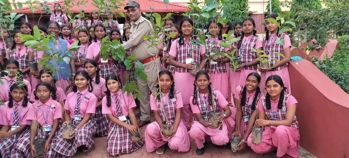 Mahavriksharopan Abhiyan: वैद्यराजों को औषधि पौधे किया गया वितरित
