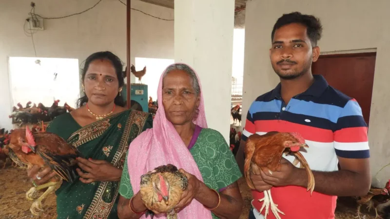 Janjgir-Champa News: श्याम बाई ने मुर्गी पालन को बनाया अपना स्व-रोजगार