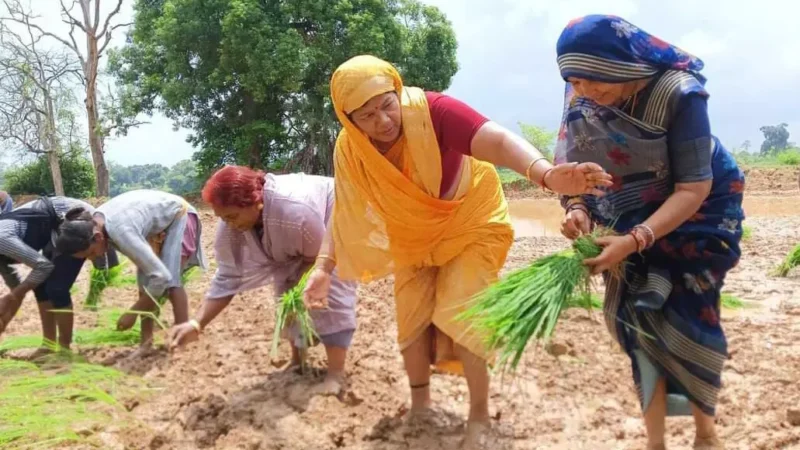 MP News: अन्नदाताओं की समृद्धि का आधार है खेती : पीएचई मंत्री उइके