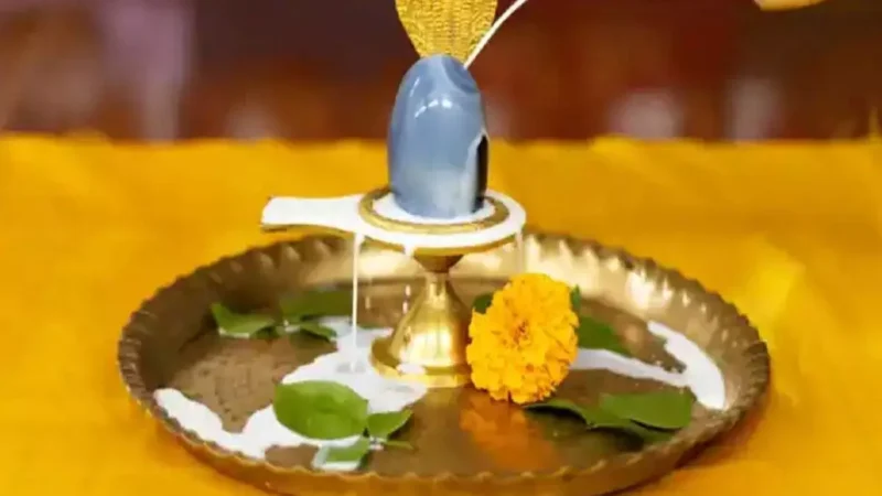 Sawan Rudrabhisheka : रुद्राभिषेक जलाभिषेक से अलग, नवग्रह शांति या मनोकामना पूर्ति…सावन में ऐसे करें रुद्राभिषेक