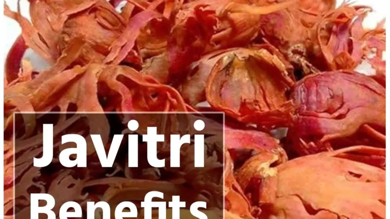 Javitri Health Benefits: शुगर और कोलेस्ट्रॉल का लेवल घटाता है रसोई में रखा ये मसाला, जान लें इस्तेमाल का सही तरीका और अन्य फायदे…