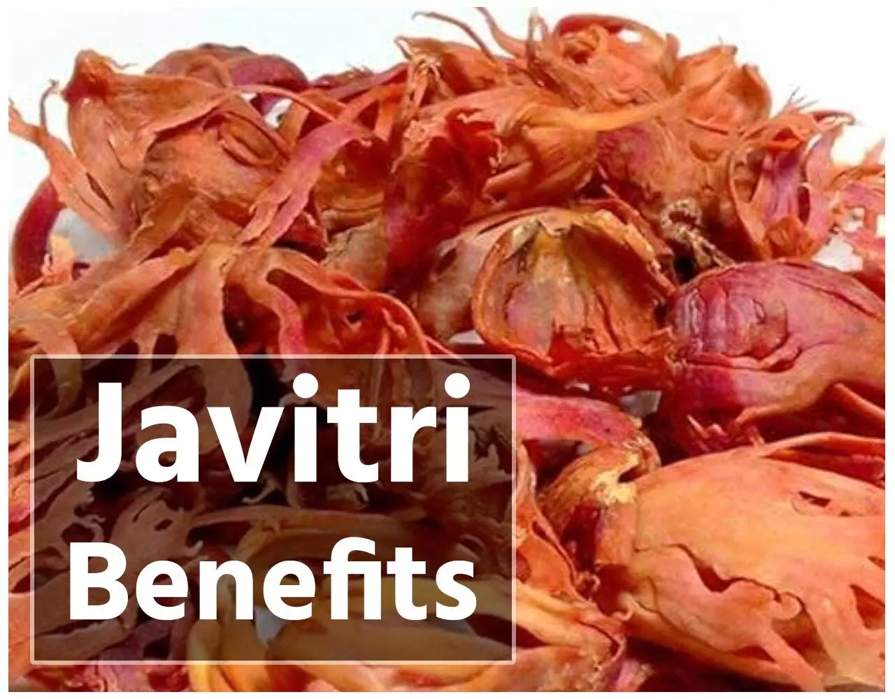 Javitri Health Benefits: शुगर और कोलेस्ट्रॉल का लेवल घटाता है रसोई में रखा ये मसाला, जान लें इस्तेमाल का सही तरीका और अन्य फायदे…