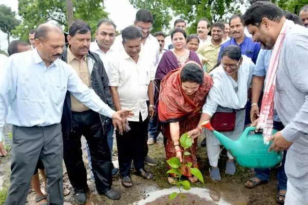 MP News: “एक पेड़ माँ के नाम” अभियान से सभी लोग जुड़े : राज्य मंत्री कृष्णा गौर