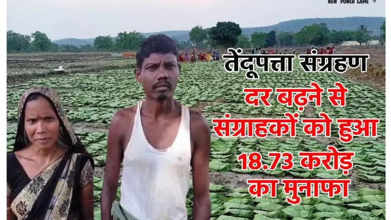 विष्णुदेव सरकार द्वारा तेंदूपत्ता संग्रहण रेट बढ़ाने से सिर्फ रायगढ़ जिले के संग्राहकों को हुआ 18.73 करोड़ का मुनाफा