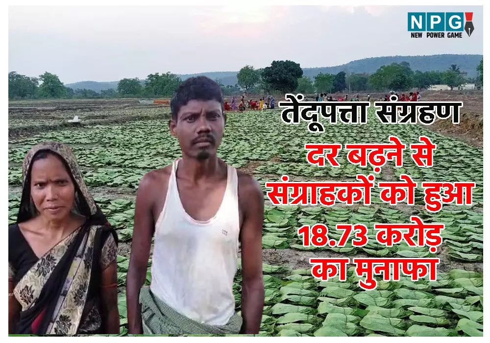 विष्णुदेव सरकार द्वारा तेंदूपत्ता संग्रहण रेट बढ़ाने से सिर्फ रायगढ़ जिले के संग्राहकों को हुआ 18.73 करोड़ का मुनाफा