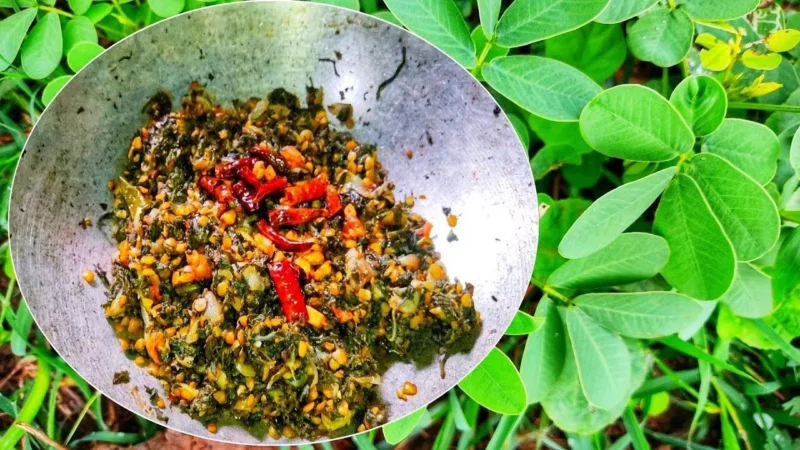 Charota Bhaji : मानसून में छत्तीसगढ़ में "चरोटा भाजी" की महक, Read Recipe and Benifits