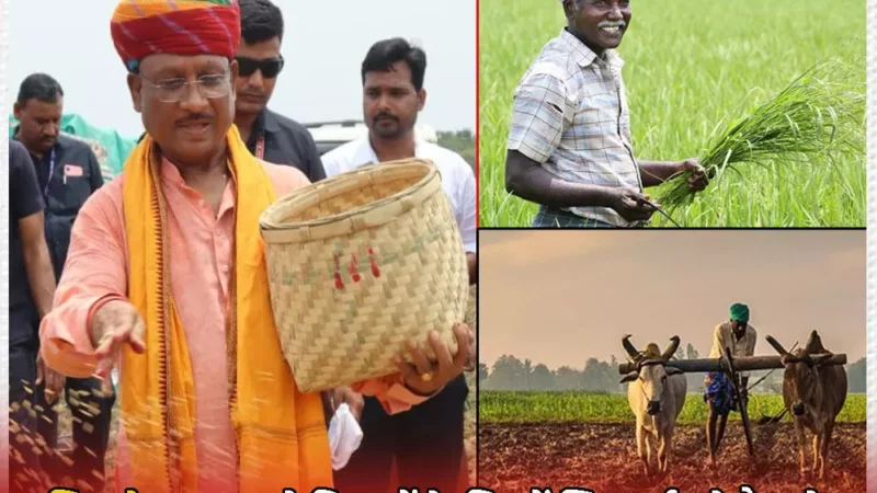 विष्णुदेव सरकार की सुध से सुधरी खेती-किसानी, 7 महीने में राज्य के किसानों के हित में लिए कई बड़े फैसले