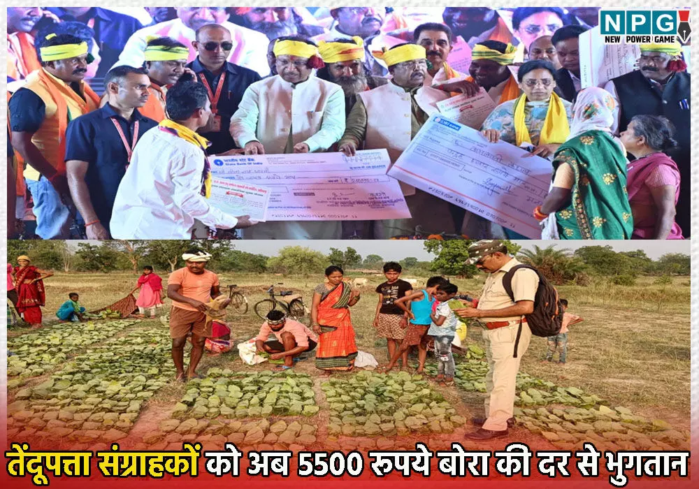 और खरा हुआ ‘हरा सोना’, तेंदूपत्ता संग्राहकों को अब 5500 रूपये बोरा की दर से भुगतान, छत्तीसगढ़ के 12.50 लाख आदिवासियों को 240 करोड़ रुपए की अतिरिक्त आय
