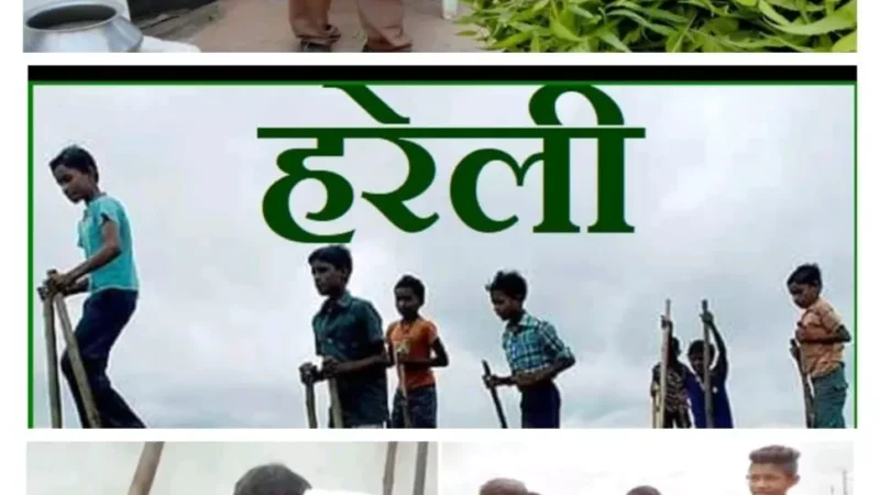 Hareli 2024 : त्यौहार एक परम्परा अनेक… कृषि, गेड़ी, पकवान से लेकर अंधविश्वास का लोकपर्व  "हरेली"