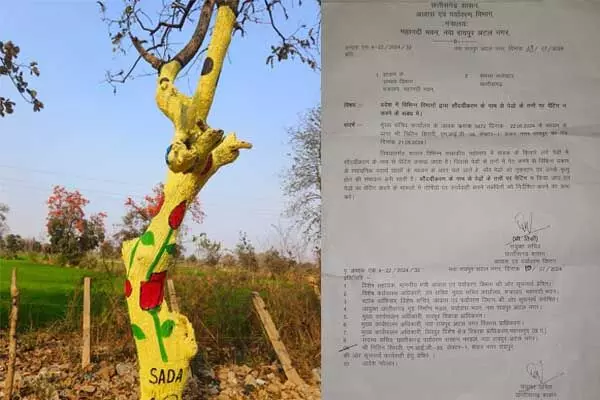 Chhattisgarh News: पेड़ों को रंगीन बनाया तो खैर नहीं: सौंदर्यीकरण के नाम पर पेड़ों की रंगाई करने वाले विभागों को सरकार की चेतावनी
