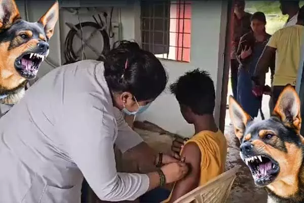 Kanker News: गायों की मौत से दहशत में पूरा गांव, लगवा रहा रेबीज का इंजेक्शन, जानिये क्या है मामला