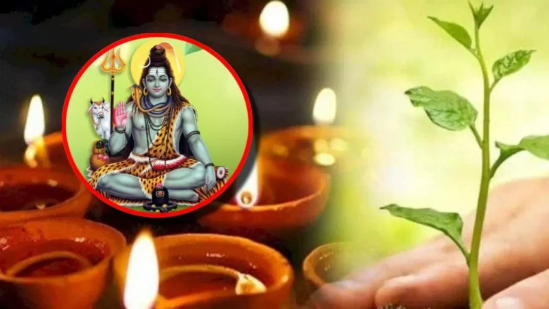 Hariyali Amavasya 2024 : धर्म, संस्कृति और प्रकृति का त्यौहार "हरियाली अमावस्या" कल, आइए जानें इस दिन क्या करें क्या न करें, शुभ मुहूर्त-पूजा विधि