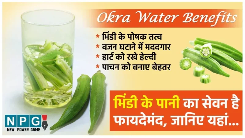 Okra Water Benefits: वजन घटाने के लिए लोगों को असरदार लग रहा है भिंडी के पानी का सेवन, आप भी जानिये इसके फायदे…