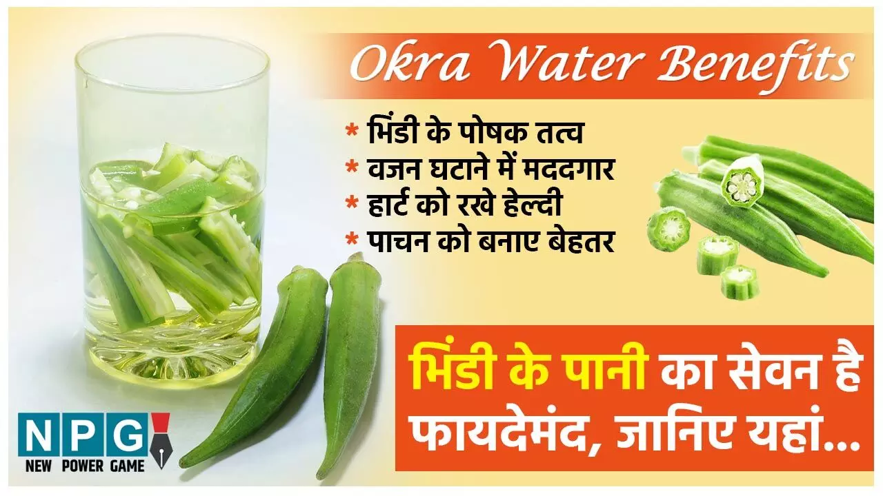 Okra Water Benefits: वजन घटाने के लिए लोगों को असरदार लग रहा है भिंडी के पानी का सेवन, आप भी जानिये इसके फायदे…