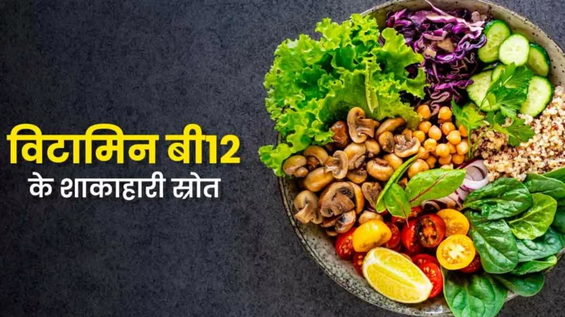 Vitamin B12 Foods in Hindi: विटामिन बी12: कमी के लक्षण, रोग और शाकाहारी स्रोत