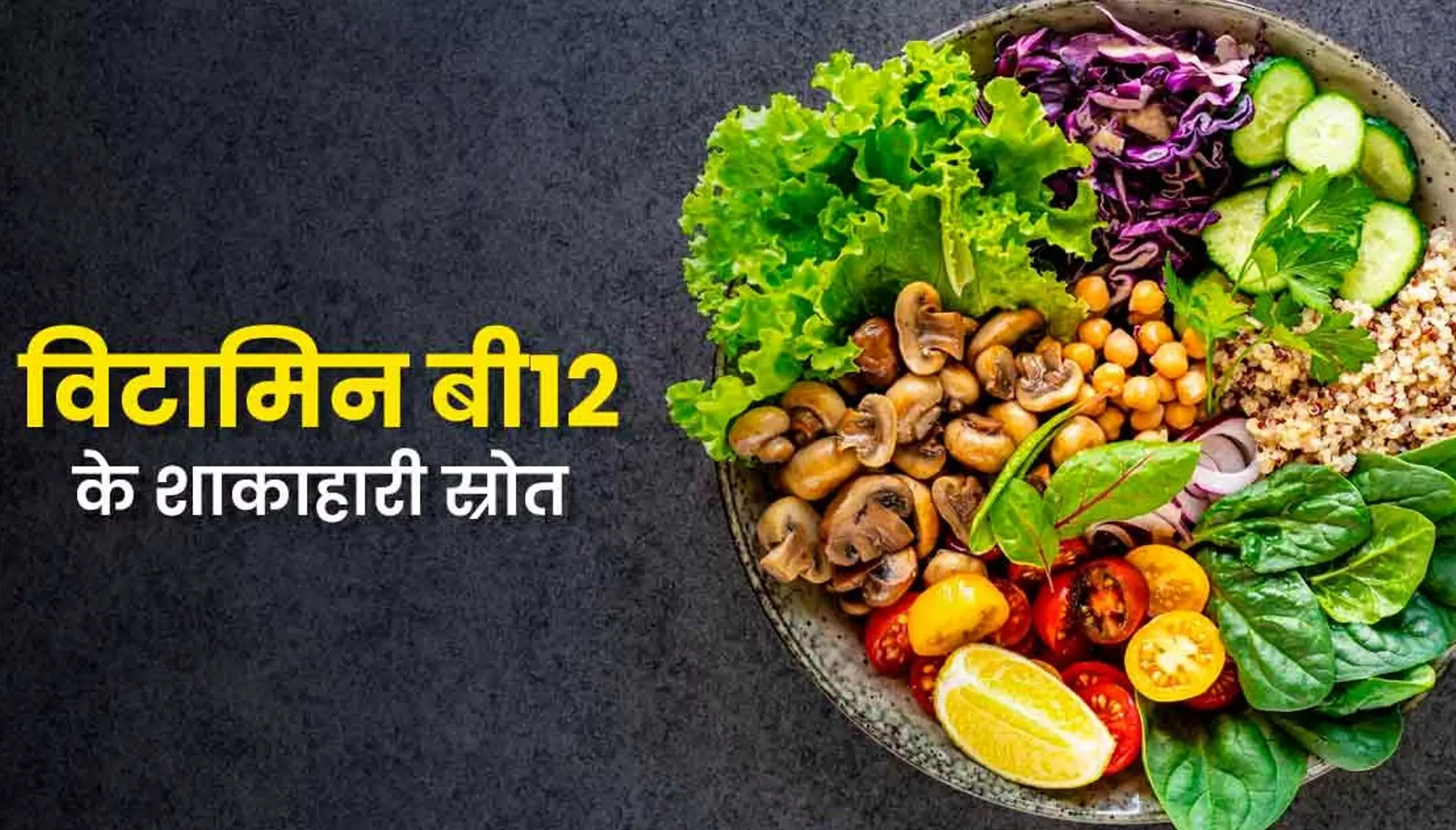 Vitamin B12 Foods in Hindi: विटामिन बी12: कमी के लक्षण, रोग और शाकाहारी स्रोत
