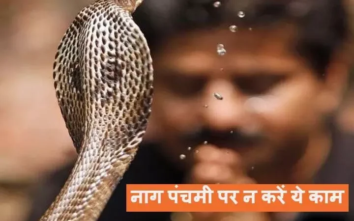 Nag Panchami 2024 : नाग न दूध पीता है, न करता है बीन की धुन पर डांस,  ना लेता है बदला…सब फ़िल्मों के दिखावे, जानिये क्या कहते हैं "सर्प विशेषज्ञ"