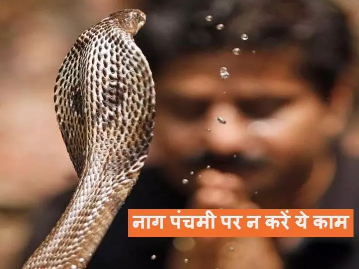 Nag Panchami 2024 : नाग न दूध पीता है, न करता है बीन की धुन पर डांस,  ना लेता है बदला…सब फ़िल्मों के दिखावे, जानिये क्या कहते हैं "सर्प विशेषज्ञ"