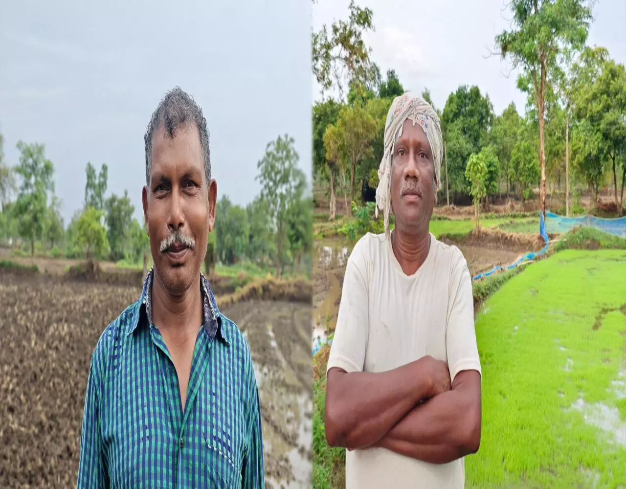 Balod News: मुख्यमंत्री विष्णु देव साय के सुशासन में किसान हुए खुशहाल