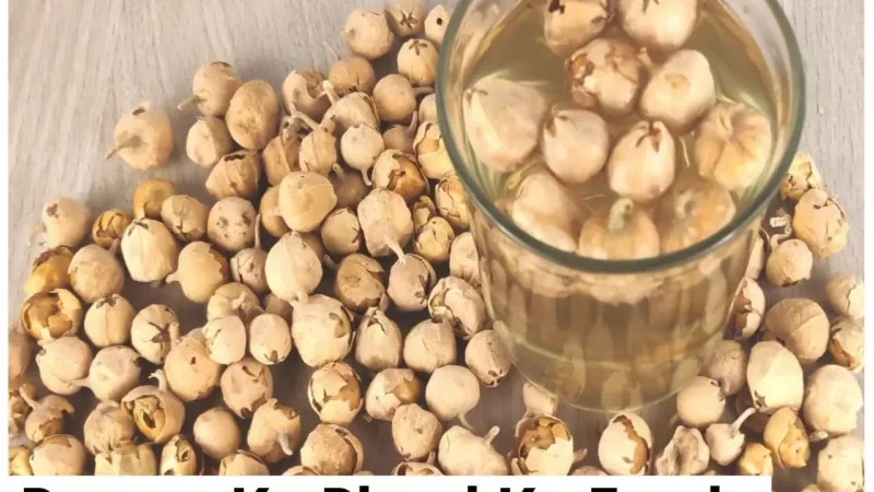 Paneer Ke Phool Ke Fayde: पनीर के फूल से डायबिटीज़ रोगियों को मिलता नया जीवन, तीन माह में दिखने लगता असर, सर्दी – जुकाम, अनिद्रा में भी बड़े काम का…