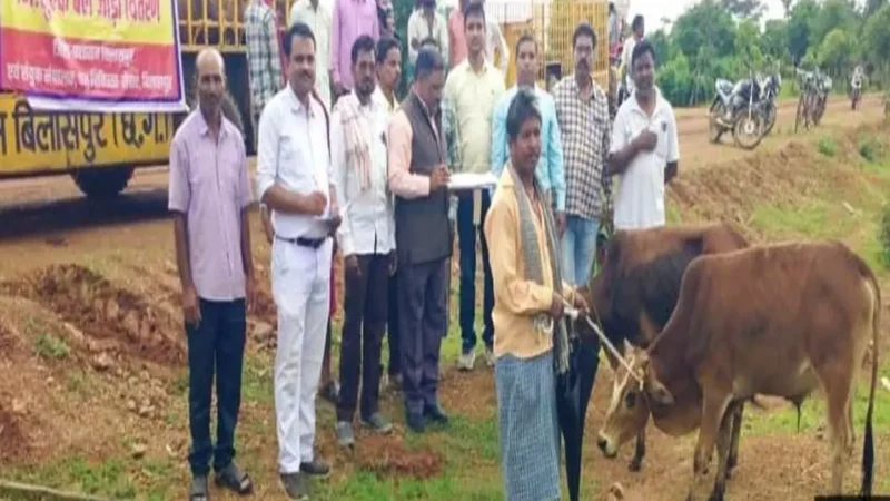 Bilaspur News:  बैगा परिवारों को 20 जोड़ी बैल निःशुल्क वितरित, खेती का काम होगा आसान