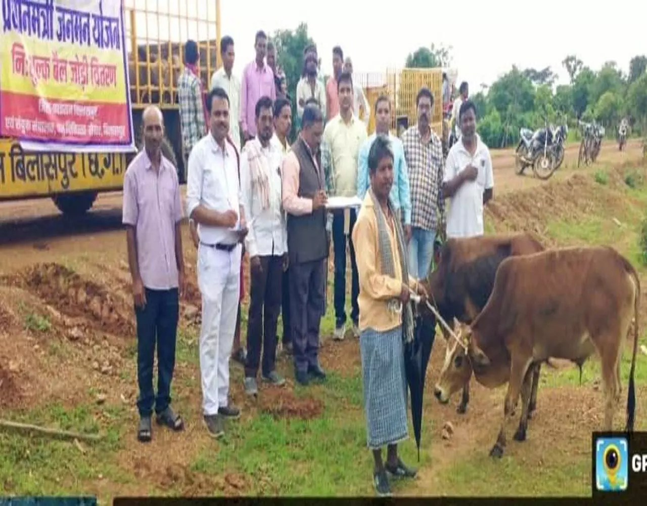 Bilaspur News:  बैगा परिवारों को 20 जोड़ी बैल निःशुल्क वितरित, खेती का काम होगा आसान