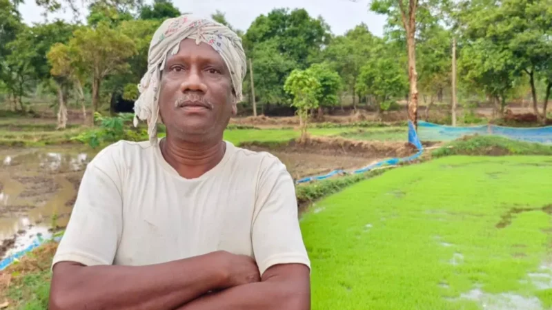 CG News: किसानों की खुशहाली का नया दौर, CM विष्णुदेव साय सरकार के सुशासन में किसानों के हित में संचालित हो रही है कल्याणकारी योजनाएं