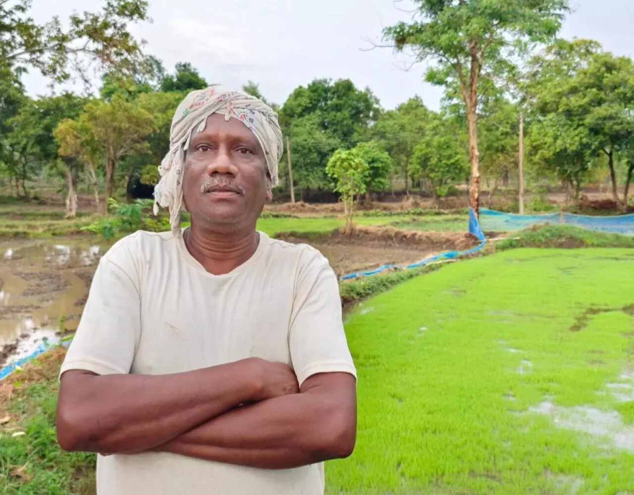 CG News: किसानों की खुशहाली का नया दौर, CM विष्णुदेव साय सरकार के सुशासन में किसानों के हित में संचालित हो रही है कल्याणकारी योजनाएं