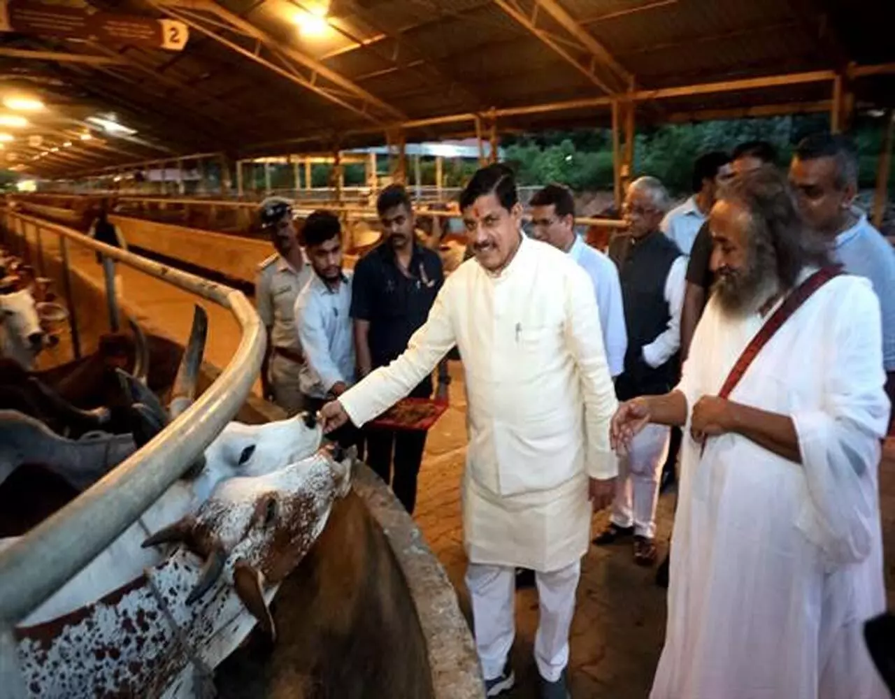 MP News: मुख्यमंत्री डॉ. मोहन यादव ने आध्यात्मिक और योग गुरु रविशंकर से लिया आशीर्वाद