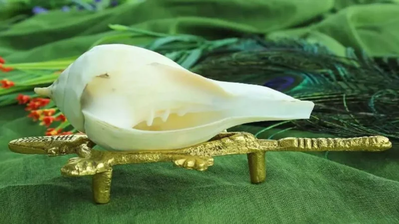 Dakshinavarti Shankh Benefits in Hindi: दक्षिणावर्ती शंख के फायदे (Benefits of Dakshinavarti Shankh)